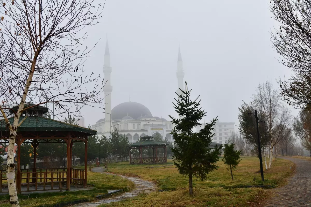 Ardahan’da Yoğun Sis Etkili Oldu